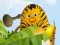 Spel Die Dschungelhelden: Kung-Frucht Training aanlyn