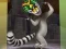 Spel King Julien: Trommel-Tanz aanlyn