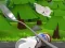 Spel Monte's Zott: Flight on a spoon aanlyn