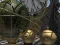 Spel Planetarium aanlyn