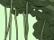 Spel Abandoned the Forest aanlyn