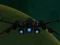 Spel Spaceship Arena aanlyn