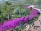 Spel Vanishing Trail aanlyn