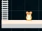Spel Hamster Grid Even Odd aanlyn