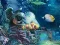 Spel Sunken Gold aanlyn