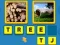 Spel Assotiation aanlyn