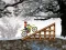 Spel Ice Biker aanlyn