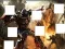 Spel Transformers 3 image puzzles aanlyn