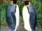 Spel Penguin Puzzle aanlyn