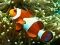 Spel Underwater Hidden Numbers aanlyn