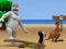 Spel Albatross Overload aanlyn