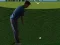 Spel Flash Golf 3D aanlyn