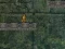 Spel Bunny Adventure aanlyn