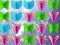 Spel Butterfly Collector aanlyn
