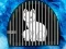 Spel Snow Fox Escape aanlyn