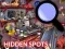 Spel Hidden Spots In The Room aanlyn