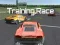 Spel Training Race aanlyn