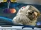 Spel Space Find The Differences aanlyn