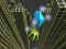 Spel Marble Rolling Stunt aanlyn