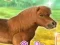 Spel My Dear Pony aanlyn