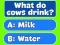 Spel Trivia Best Family Quiz aanlyn