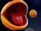 Spel Pac-Man 3d aanlyn