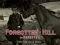 Spel Forgotten Hill Memento: Run Run little Horse aanlyn