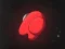 Spel Second Blink: You Can (Not) Get aanlyn