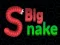 Spel Big Snake.io aanlyn