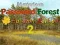 Spel Mysterious Password Forest Autumn Edition 2 aanlyn