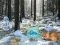 Spel Winter Wonderland Forest Adventure aanlyn