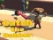 Spel Catsh the robber aanlyn