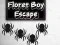 Spel Floret Boy Escape aanlyn