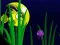 Spel Flash Fish Freddie aanlyn