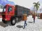 Spel Asian offroad cargo truck driver aanlyn