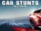 Spel Car Stunts Sky Tour aanlyn
