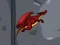 Spel Dragon Domination aanlyn