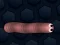 Spel Math Slither aanlyn