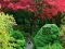 Spel Maple Leaf Garden Escape aanlyn