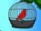 Spel Red Bird Rescue aanlyn