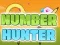 Spel Number Hunter aanlyn