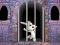 Spel Victory Rabbit Escape aanlyn