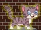 Spel Loveable Small Cat Escape aanlyn