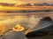 Spel Escape From Sunset Beach aanlyn