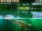 Spel Willow Pond aanlyn