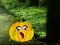 Spel Help The Hungry Monkey aanlyn