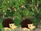 Spel Escape From Mango Farm aanlyn