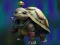 Spel Isolated Turtle Escape aanlyn