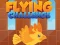 Spel Flying Challenge aanlyn