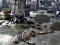 Spel Friends Rescue From Skeleton aanlyn